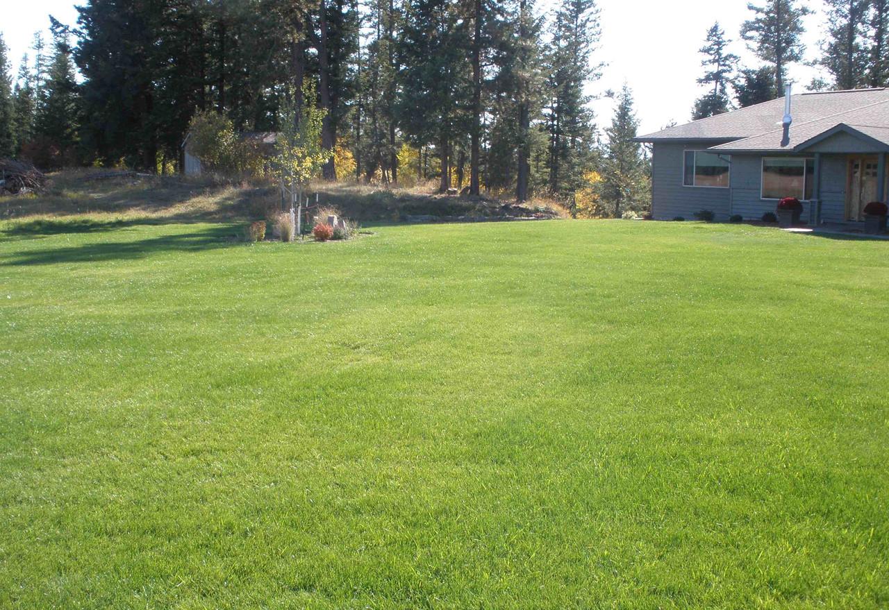 Hydroseeding site