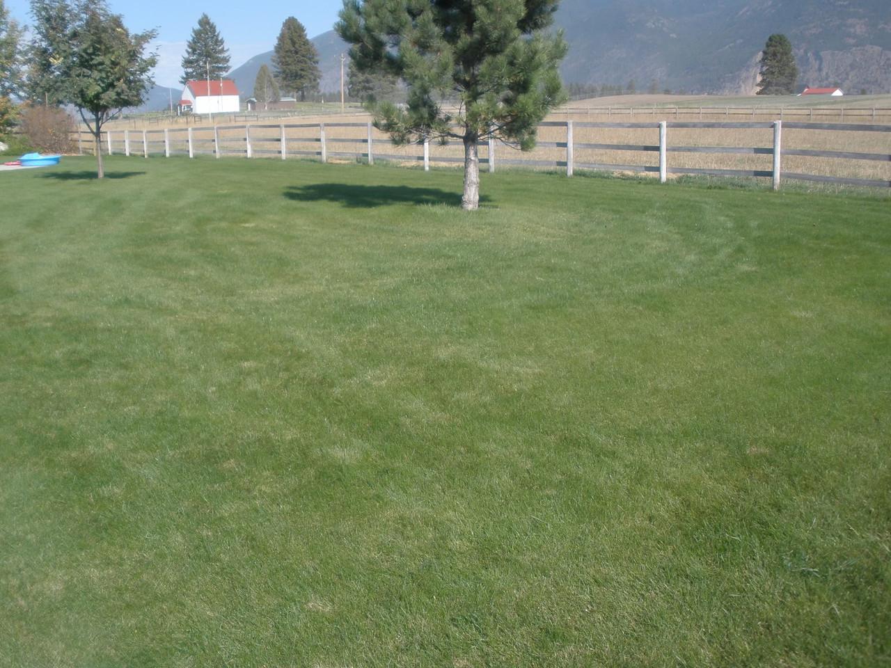 Hydroseeding gallery image 1