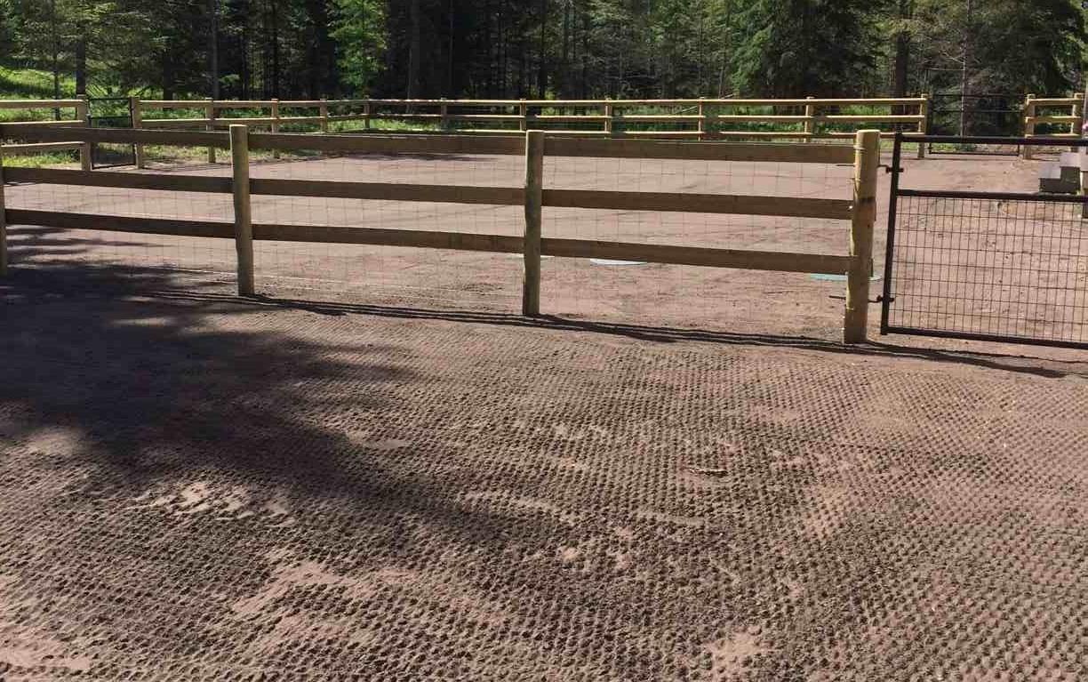 Hydroseeding gallery image 3